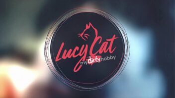 Lucy Cat Vice