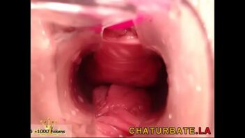 Penus Inside Vagina